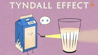 What Would Your Fridge Food Be? | Matter Explained | Science Short Capsules
