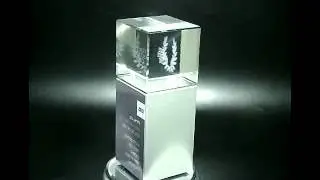 מעבר לרעיון   מגן הוקרה מותאם אישית לחברת טבע