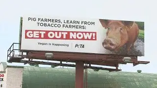 PETA places controversial billboard on North Second Street about pig farmers