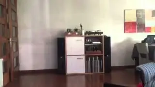 Gu50 (srs552) tube amp