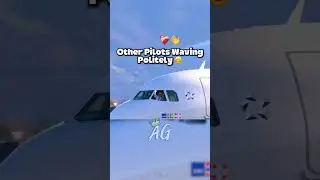 The Pilot Does Not Like Planespotters&hellip; 😭☠️ #aviation #avgeek
