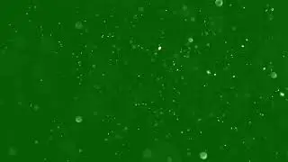 Green Screen Dust Particles Uncovered | dust background |Green Screen |  Green Screen Alpha