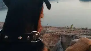 Nemački lovni teirjer - Čovekov najbolji prijatelj - ja ih imam DVA :)