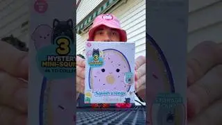 I Tried the Squishmallows Blind Box