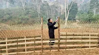How to Build a Bamboo Fence Against Chickens Destroying Corn Garden