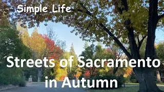 Streets of Sacramento in Autumn, California