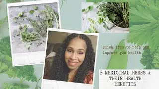 5 MEDICINAL HERBS & THEIR HEALTH BENEFITS II Kimsology  HEALTH BENEFITS