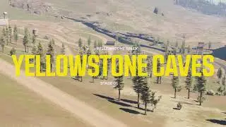 Dakar Desert Rally_ Yellowstone Caves _ USA DLC _ Truck pro mode _ cockpitcam G29