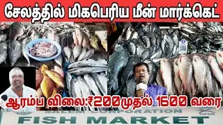 எங்கும் இல்லாத RATE  fish market ah Inga ellame iruku #salem corporation fish market