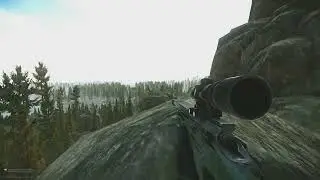 Woods All Shooter Born in Heaven Kills in Escape From Tarkov