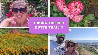 Hiking At The Beautiful Red Butte Gardens!!