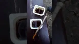 Опыт над coffee cola
