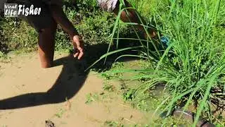 Very Lucky Fishing! Found & Catching Many Many Catfish & Snakehead in Small Pond