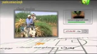 معلومات هامة عن علاقة مالك الارض الزراعية و المستاجر و العقد و الايجار