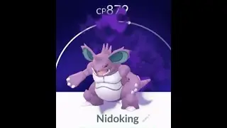 Shadow Nidoking