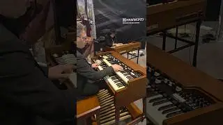 Hammond Organ XK-7D Session #namm2026 #namm #hammondorgan #shorts