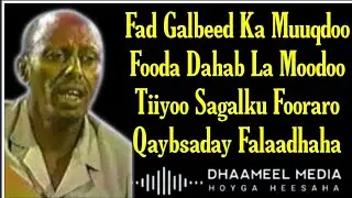 Heestii_ Fad Galbeed _ Cumar Dhuule _ Hees Qaraami Xul ah With Lyrics