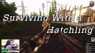 Befriending a Hatchling in Escape From Tarkov!