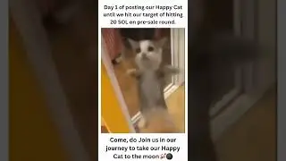 $HappyCat meme token on SOL.                      Follow us on Ig:- happycatonsol. #shorts #cry