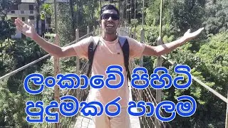ලංකාවේ උසම සංගිලි පාලම මත සිට... අවිස්සාවේල්ල දැරණියගල ප්‍රදේශයේ #travel #trip #nature #sirlanka 