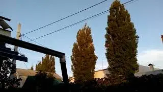 Инвертор Sofar 2200tl g3 .Работа сетевого инвертора на закате . Краткий обзор меню инвертора