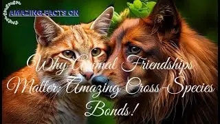 Why Animal Friendships Matter: Amazing Cross-Species Bonds! |🐦&zwj;⬛🐦| #shorts #facts #animals