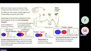 NMR Spectroscopy for Structural Biology - Session 5