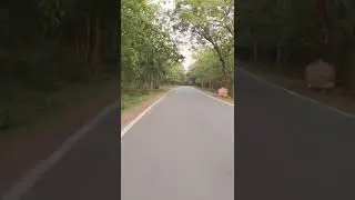 Bike ride in Western ghats, morning ride, chill ride
