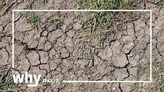 Why do you need to water the foundation of your home in Houston?