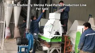 RICHI Water Drop Type Hammer Mill in Action