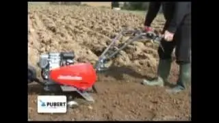 MOTOSAPA PUBERT Eco.flv
