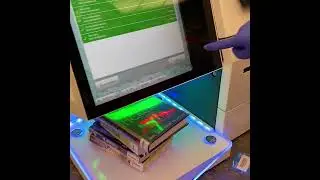 Using our new self-checkout machines to check out library materials