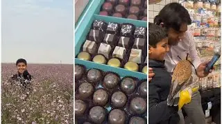 ربيع الكويت | زيارة مصنع اوليفيا للشوكلاته | سالم شراء طير