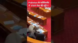 पहली बार गधा सही स्थान पर पहुंचा। #pakistanassembly #socialmedia #viralvideo #ytshorts #funny #news