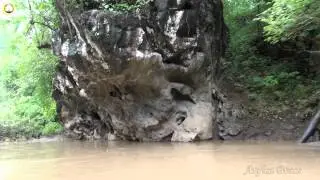 Поездка с Чианг Май до водопада Ti Lo Su. Umphang. Рафтинг. Thailand. 75