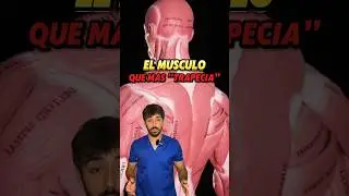 ❗️EL M&Uacute;SCULO QUE TE APRECIA❗️#anatomia #fisio #sabiasque #trapecio #espalda #cuello #dolor