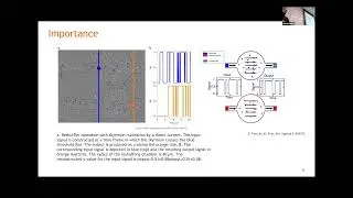 Zulfidin Khodzhaev, UT ECE Ph.D. Student, Talks on Voltage-Controlled Skyrmion Manipulation Chambers