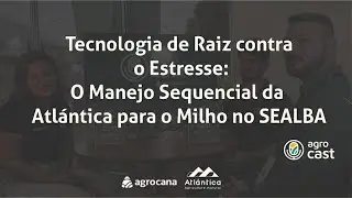 Tecnologia de Raiz contra o Estresse: O Manejo Sequencial da Atlántica para o Milho no SEALBA