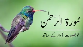 Surah Ar-Rehman Full | Beautiful Recitation - Tilawat Quran (HD)|سورة الرحمان|