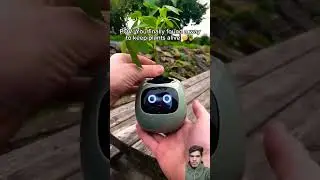 Flower Pot Gadget #gadgets #2026 #flower #pot #foryou #like