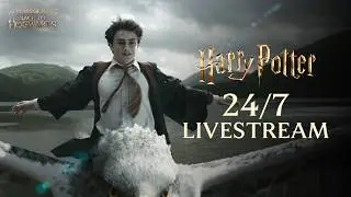 🔴 LIVE: Harry Potter Marathon | 24/7 Livestream