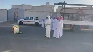 قبيلة ال ربوع يام مقبلين على عوانيهم ال سفران الوعله