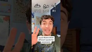 Arabic Doesn&rsquo;t Have &ldquo;To Have?&rdquo;