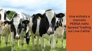 Entrata a mercato PERSA nello Spread Trading sul Live Cattle