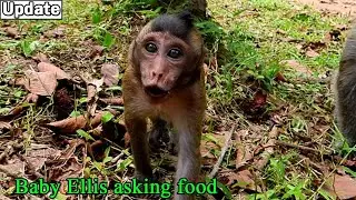 Cute baby Ellis deep hungry by mom Elsa hard wean milk/ Ellis crying low sound asking food