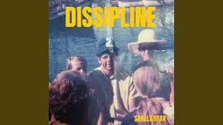 Dissipline