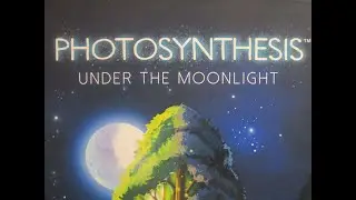Unboxing Under the Moonlight (Photosynthesis Expansion)