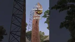#camping #explorependaki #hiking #pendaki #cirebon #pendakihits #shorts #pendakiindonesia #nature