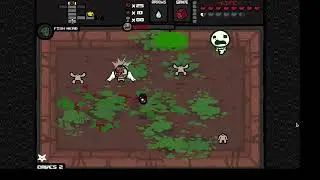 The Binding Of Isaac Flash (Hardmode) - Eternal Greed Fight NO HIT (With Ipecac)