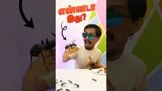 3 Gadgets You&rsquo;ll Wish You Had! 😱